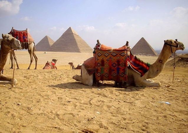 Giza Pyramids, Camel Ride and Egyptian Museum Tour