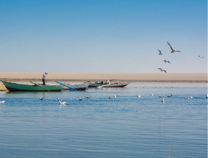 Fayoum Bird Watching Tours