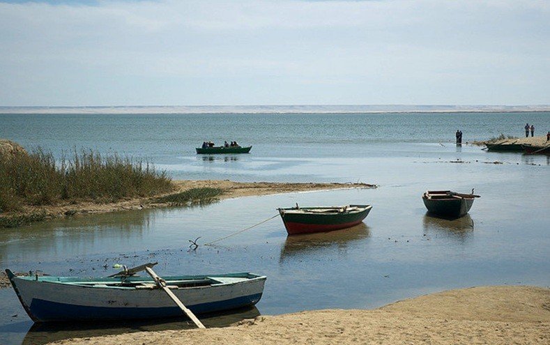 Fayoum Oasis Tours from Cairo